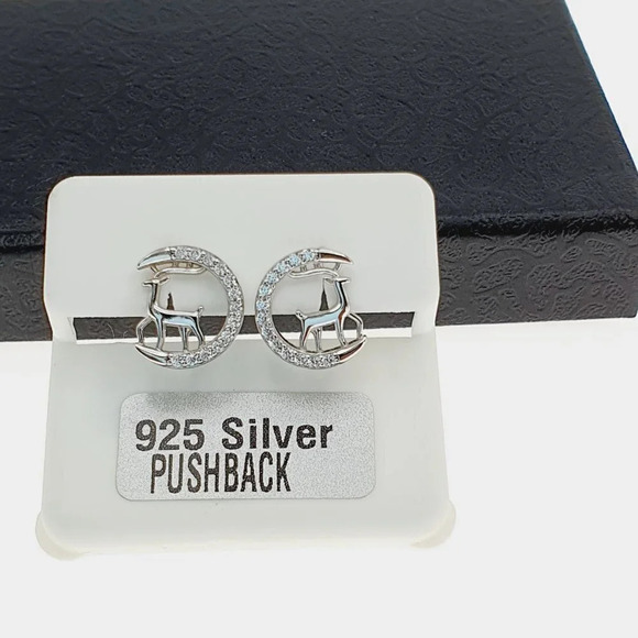 "925 sterling silver luxury CZ earrings for women/girls, Best for RJUS2226 - Picture 6 of 10